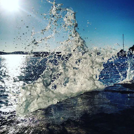 Pine * Hvar Town