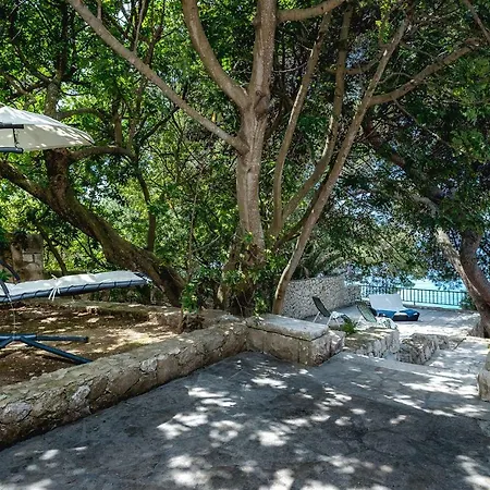 Pine Willa Hvar Town